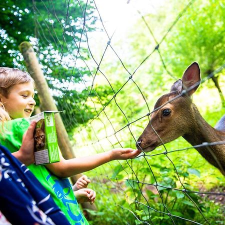 Ferienwohnung Warstein Kültér fotó