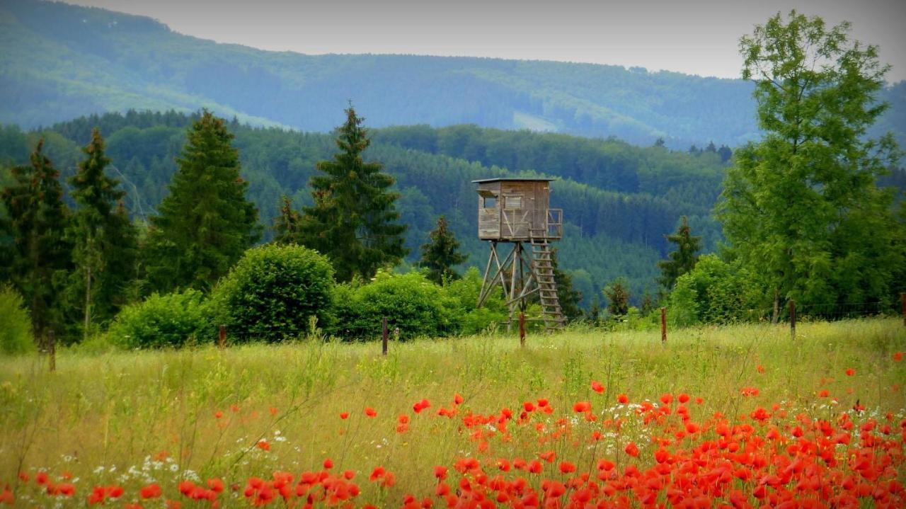 Ferienwohnung Warstein Kültér fotó